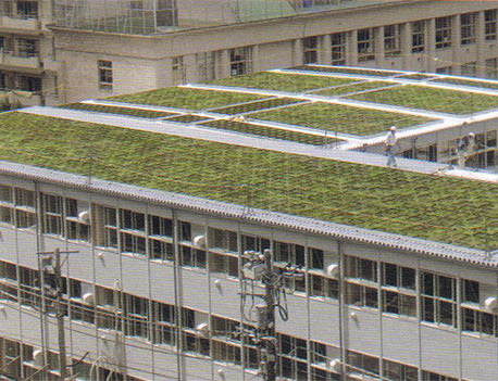 屋上緑化・太陽光発電・遮熱塗料など