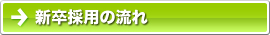 新卒採用の流れ