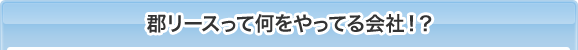 郡リースって何をやってる会社！？