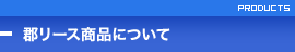 郡リース商品について